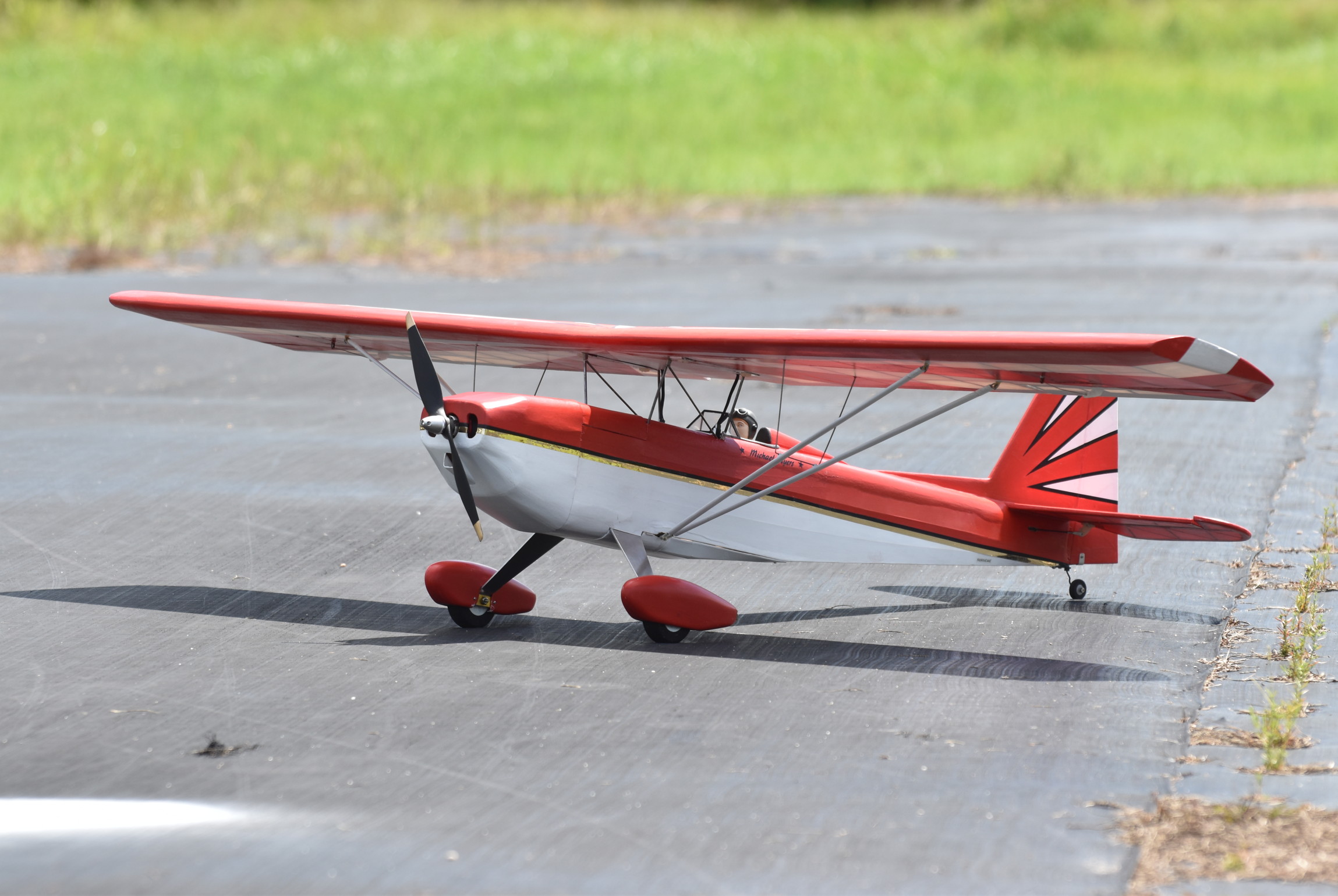 Citabria Pro RC model airplane