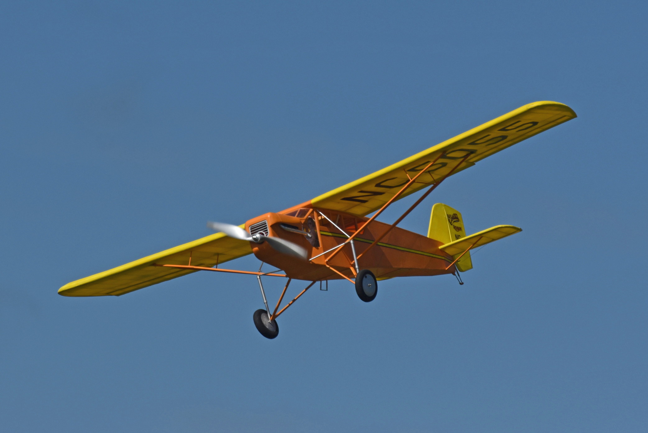 Curtiss Robin RC model