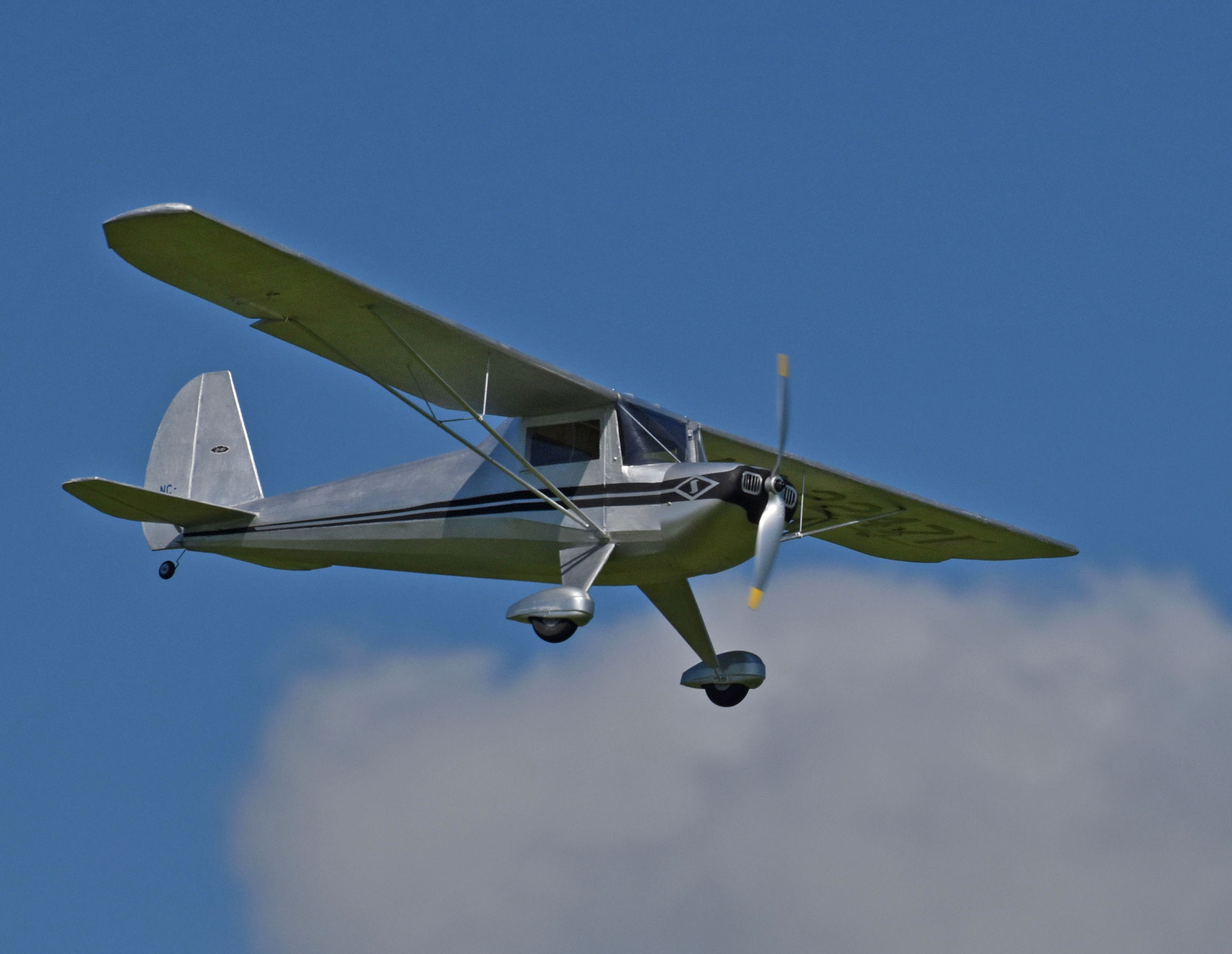 Luscombe Silvaire RC model airplane