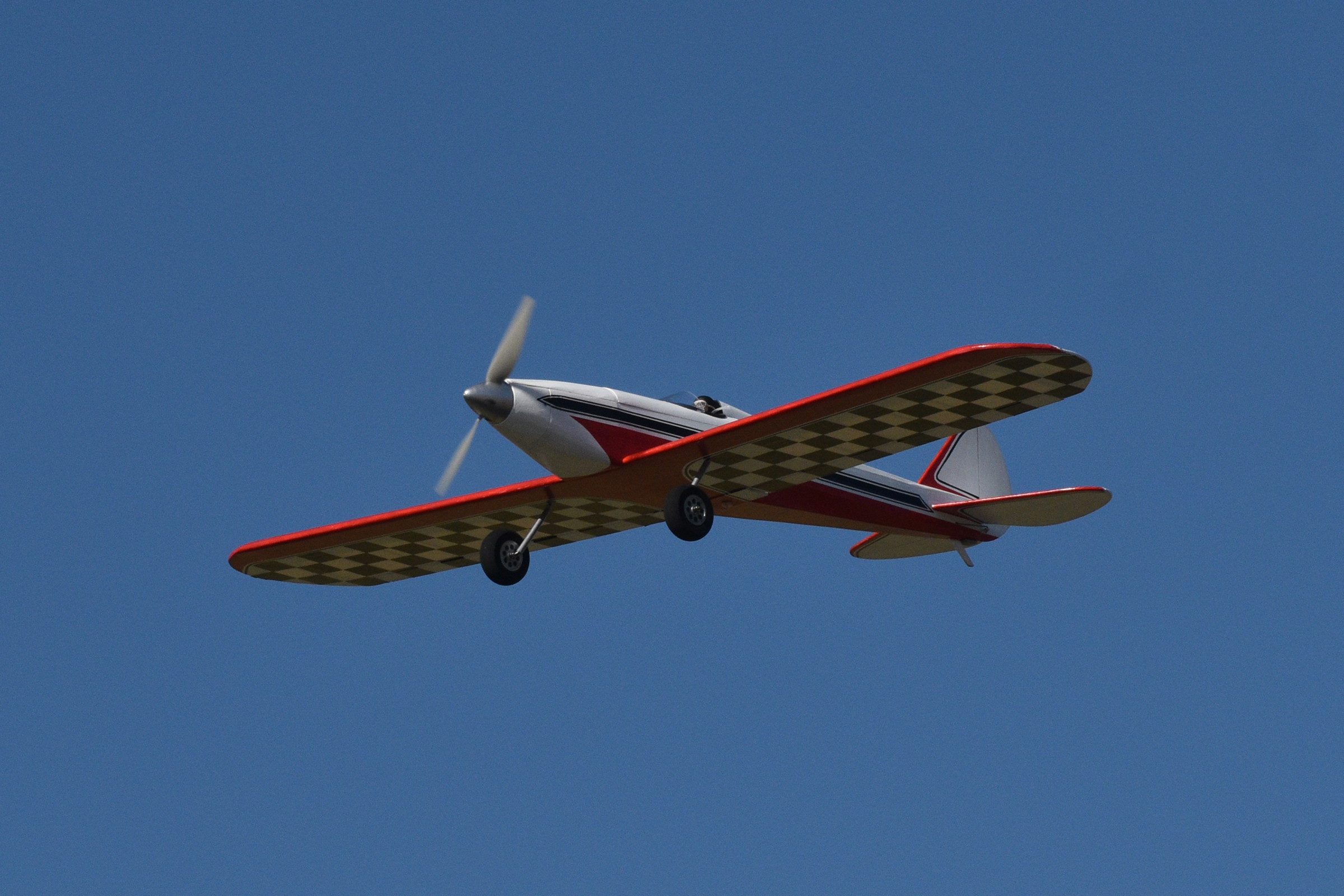 Ryan's Daughter RC model airplane